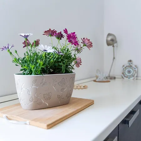 Casa Sea Breeze Lägenhet *